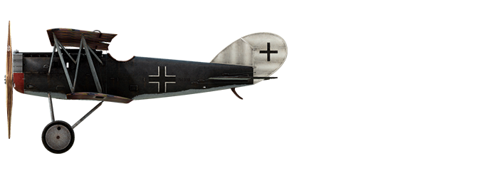 Pfalz D.XII